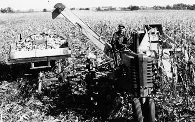 One adult male farmer sits on a John Deere tractor.  Attached behind the tractor is a two-row corn picker on the farmer’s left, and an auger leading to a wagon full of ears of corn that is on the farmer’s right.  The corn in the field is fully mature and ready to be harvested.