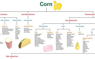 Flow-chart showing the many uses of corn, divided into three main sub-categories: whole corn products, dry grind ethanol, and fractionated products.