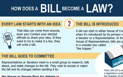 "How a Bill Becomes a Law" Infographic