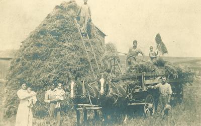 A farm family poses in the foreground of the photograph. Two adults on the left each hold a small child. Two members of the family pose with pitchforks and hay on the wagon. A fifth member of the family poses on a tall ladder leaning against the pile of hay in the background, and a sixth family member stands next to the wagon. A matched pair of horses are harnessed to the wagon.