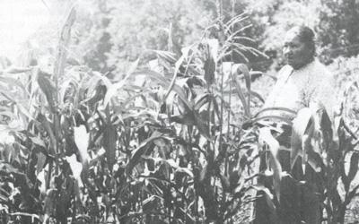 "Corn Shelling with the Mesquakies" in The Goldfinch, 1993