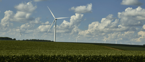 Wind turbines in the cornfields outside Cedar Falls, Iowa