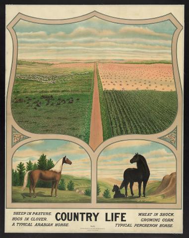 The bottom third of the image shows a “typical Arabian horse” and a “typical Percheron horse.” The top of the image shows a scene with pastures on the left and grain fields on the right. One pasture has hogs, and the other sheep. The grain fields show a wheat field after harvest and a corn field growing.