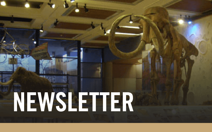 Subscribe to our Newsletter with mammoth in the background of the text