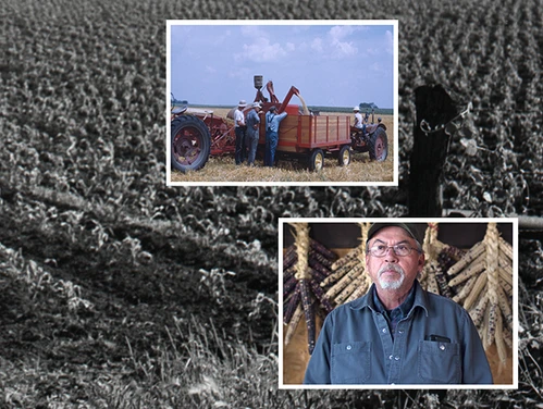 Ag History - Farming Picture