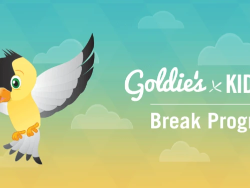 Goldie in the sky