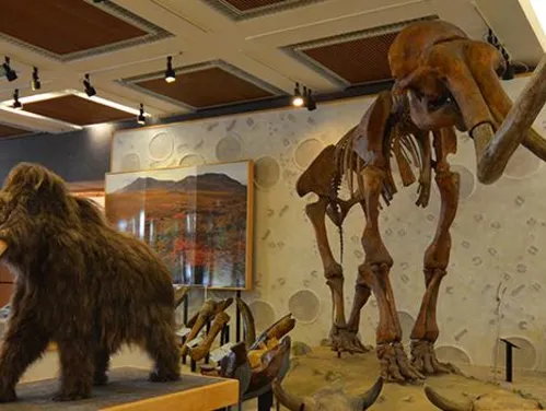 Mammoth models stand tall in the Iowa history museum