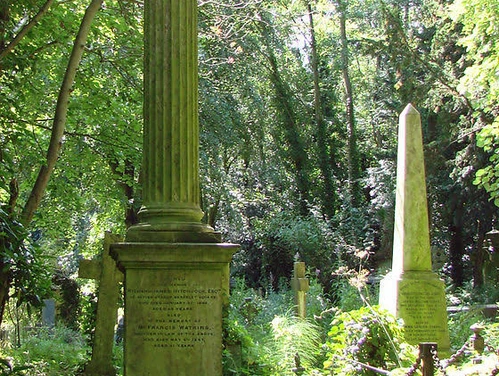 Picture of old and verdant cemetery