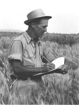 Norman Borlaug Field Photo