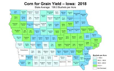 Political map of Iowa showing all 99 counties divided up into regions.  Each county is color-coded and labeled with the average bushels per acre yield for the 2018 growing season.