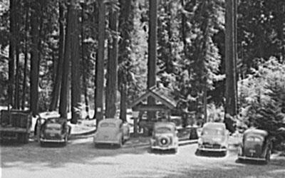 Rogue River National Forest in Jackson County, Oregon, July 1942