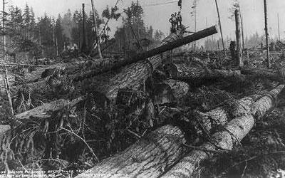 Lumbering in the Cascade Mountains near Seattle, Washington, 1921