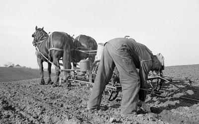 The image shows a farmer behind a team of horses pulling a small planter behind them in May of 1940.  The farmer appears to be checking to corn to make sure it’s planting.