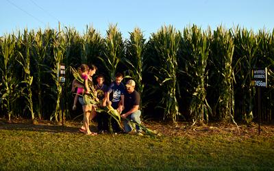 Image shows a farming family gathered around their corn field.  They are in the grass and the father is kneeling while the family looks at a corn stalk he is holding.  The corn is quite high, taller than anyone in the family.