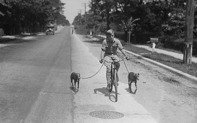 Boy Riding Bicycle with Dogs on Leashes, 1928
