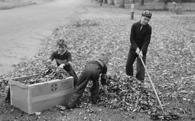 Boy Raking Leaves on a Front Lawn in Bradford, Vermont, October 1939