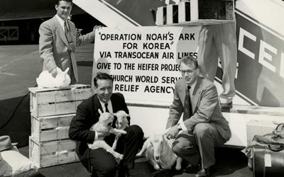 This photograph shows four men dressed in suits posed next to an airplane that says “Transocean” on the stairway leading up to the aircraft. Each man is holding an example of the animals and insects that the Heifer Project was sending as aid to South Korea. By 1954, the Heifer International project had shipped 222 goats, 331 pigs, 70 chickens, 216,000 hatching eggs, 500 rabbits and 200 hives of honey bees to Korea. Due to the ravages of three years of fighting in the war torn land, many of these animals wer