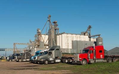 Five trucks parked near a grain elevator.  Auger system used to move grain from one location to another also visible in photograph.