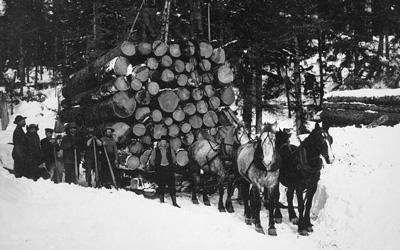 Six-horse team hitched to sleigh loaded with large logs.  Eight men are posed near the sleigh with one of them standing on the top of the logs.