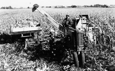 Two-row corn picker pulled along with and powered by a small tractor.  Harvested ears of corn collected in small wagon also pulled along with the tractor and cornpicker.
