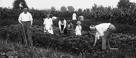 Farm Family in the United States, between 1915 and 1923