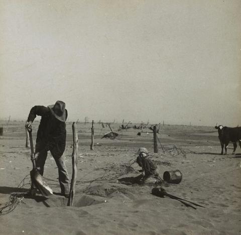 Dust bowl farmer raising fence to keep it from being buried under drifting sand in Cimarron County, Oklahoma.