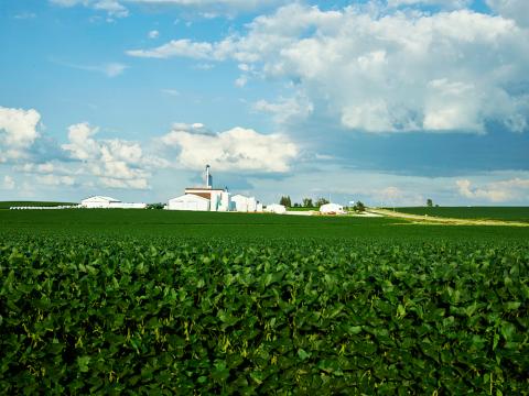 The image shows the farmstead of Folkmann family in Benton County, Iowa.
