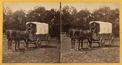 A man poses in an ambulance wagons pulled by horses during the Civil War. 