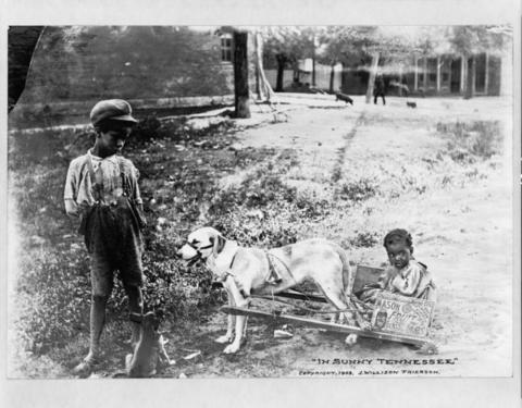 Children Playing with a Dog and Cart in Tennessee, ca. 1903