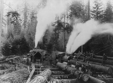 Lumberjacks, logs and steam-powered logging machine & railroad.