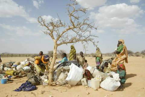 Photograph shows a group of women and children gathered under a leafless tree surrounded by bundles of their possessions.
