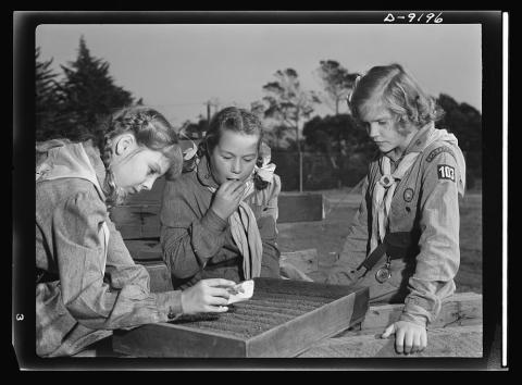Three girl scouts in uniform planting a victory garden. 