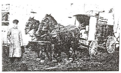 Aossey Family Horse and Wagon, Date Unknown