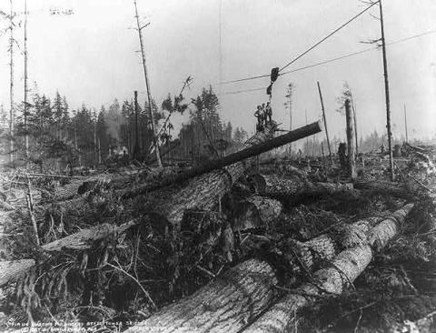 Lumbering in the Cascade Mountains near Seattle, Washington, 1921
