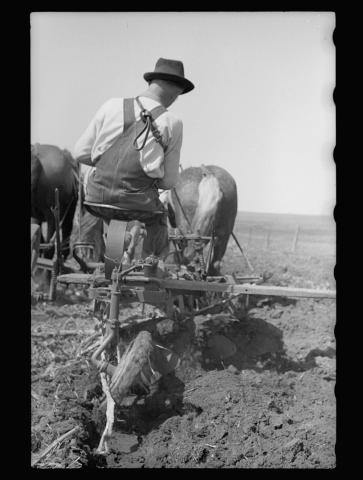 Farmer Plowing Sod in Grundy County, Iowa, 1940