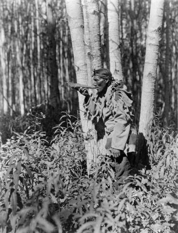 A Northwest Native American man, a member of the Cree tribe, in the woods calling a moose with a blowing horn. 