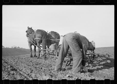 The image shows a farmer behind a team of horses pulling a small planter behind them in May of 1940.  The farmer appears to be checking to corn to make sure it’s planting.