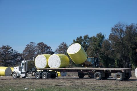 Truck and flatbed trailer with two bales of cotton already loaded on trailer and third bale in process of being loaded by a forklift.