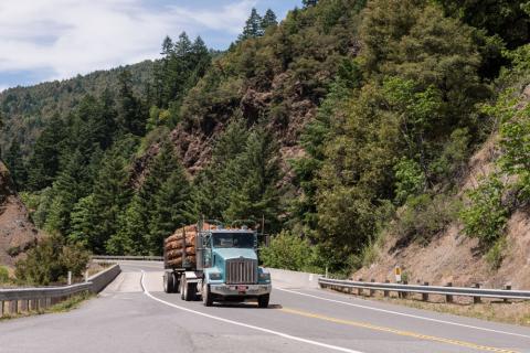 Truck and flatbed trailer piled high with logs seen driving on two-lane highway in scenic, forested area.