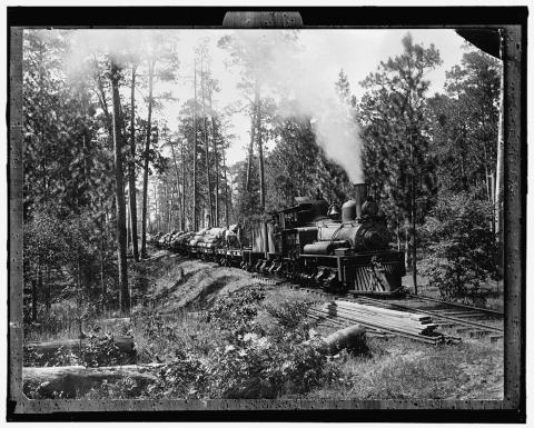 Single-engine train pulling multiple flat-bed railcars loaded with logs through scenic, wooded area.