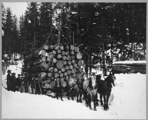Six-horse team hitched to sleigh loaded with large logs.  Eight men are posed near the sleigh with one of them standing on the top of the logs.