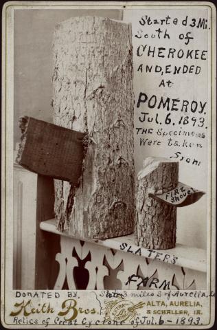Photo of a board and fire shovel impaled into tree trunks from a tornado near Cherokee/Pomeroy, Iowa, in 1893.