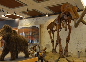 Mammoth models stand tall in the Iowa history museum