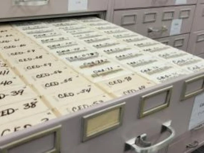 Drawer containing  State of Iowa county records on microfilm reels.